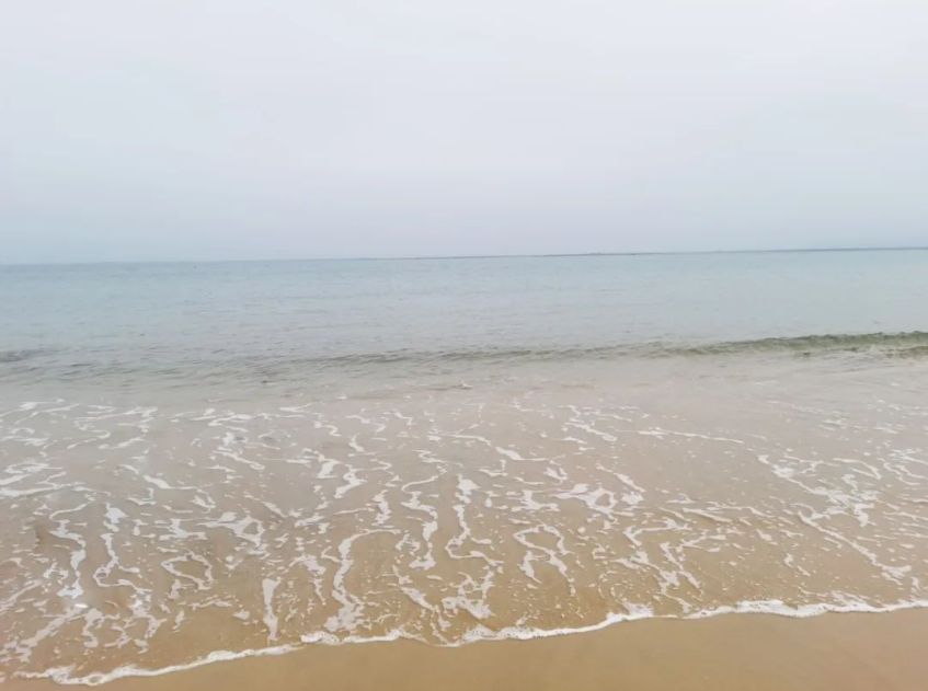http://www.scjxchsm.com/Upload/ueditor/1711076177455276.png