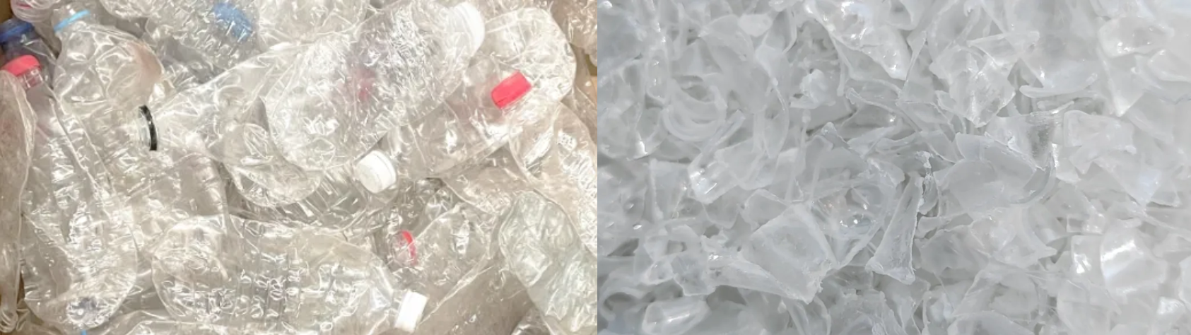 http://www.scjxchsm.com/Upload/ueditor/1712648137351249.png