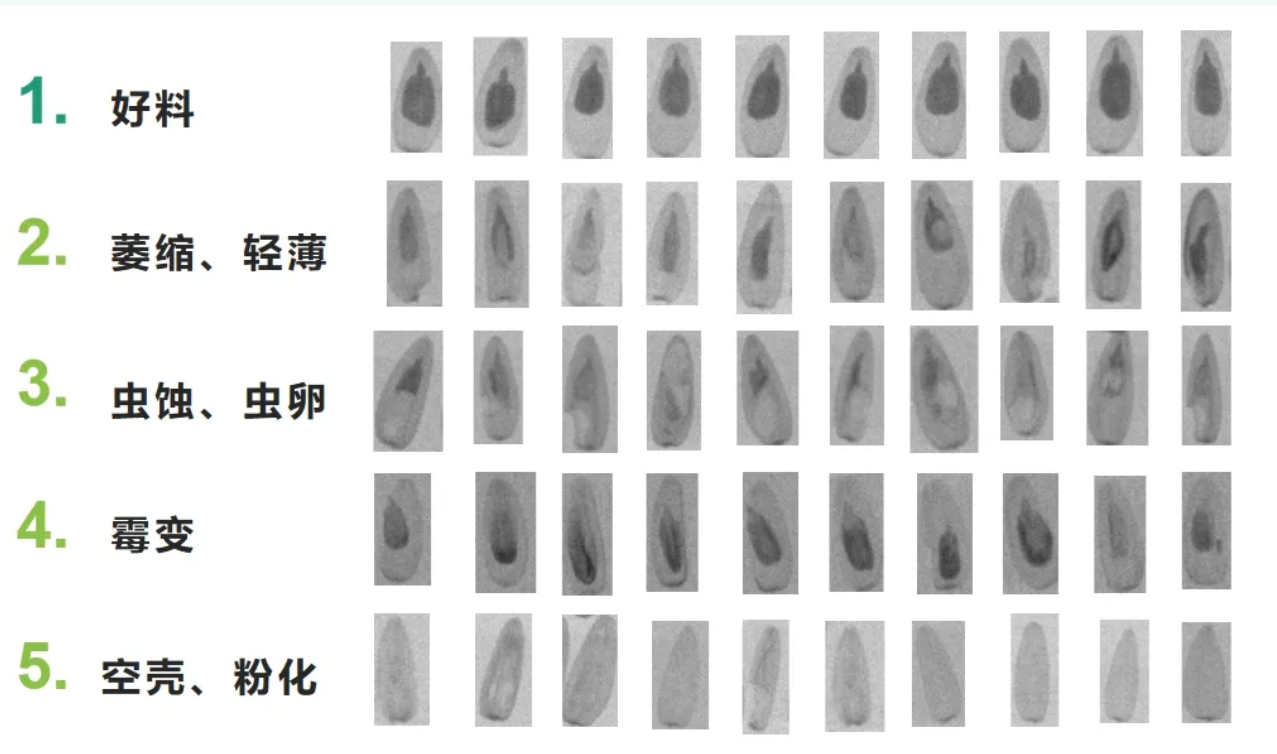 http://www.scjxchsm.com/Upload/ueditor/1713835443165267.png