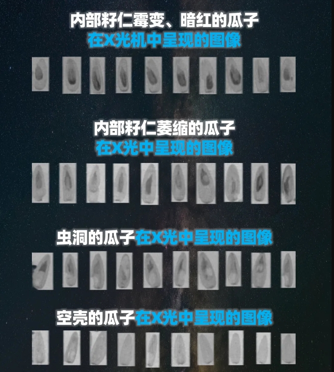 http://www.scjxchsm.com/Upload/ueditor/1739781746639725.png