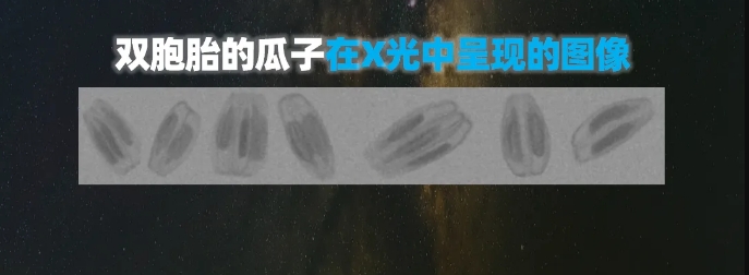 http://www.scjxchsm.com/Upload/ueditor/1739781751262784.png