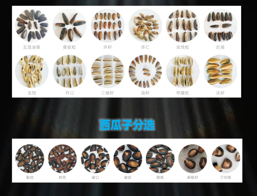 http://www.scjxchsm.com/Upload/ueditor/1739781790152247.png