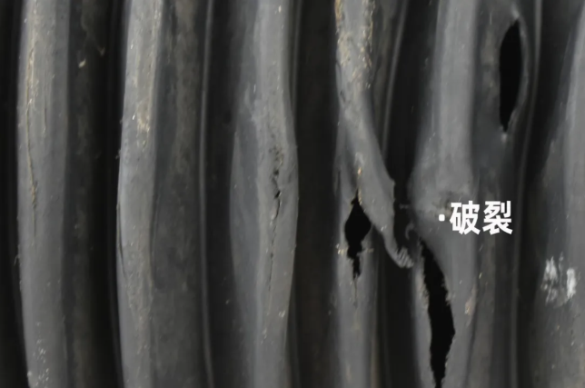 http://www.scjxchsm.com/Upload/ueditor/1744248093706159.png