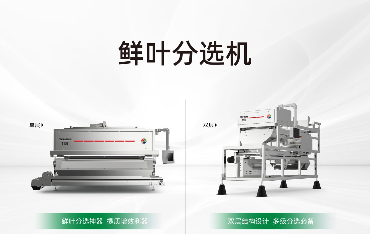 http://www.scjxchsm.com/Upload/ueditor/1747984764254801.jpg